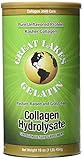 Great Lakes Gelatin Collagen Hydrolysate Unflavored Beef 454g 16oz