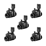 Elektroventil 100-HV 24 V, 2,54cm Rain Bird (Packung mit 5 Stück)