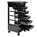 Saloniture Beauty Salon Rolling Trolley Cart With 5 Drawers and a Mixing Bowl