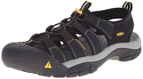 « Click to Enlarge and to go to Amazon »