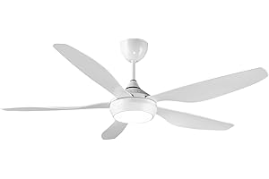 reiga Ventilatore da Soffitto Bianco con Luce e Telecomando, Ventilatore da Soffitto da 137cm con Motore CC, Ventilatore Silenzioso 5 Pale per Soggiorno e Cucina