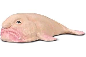 Collecta - Fuzzfisk, samlarfigur, storlek M - +3 (Deqube 90180037)