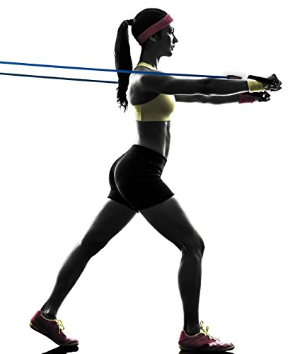 ZenBands – Resistance Band Widerstandsband Set mit GRATIS E-BOOK | Expander Tubes, Griffe, Fußschlaufen, Türanker, Tasche & Einstiegsguide | Gymnastikband Fitness Set - 8