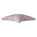 Cushion Star Pink