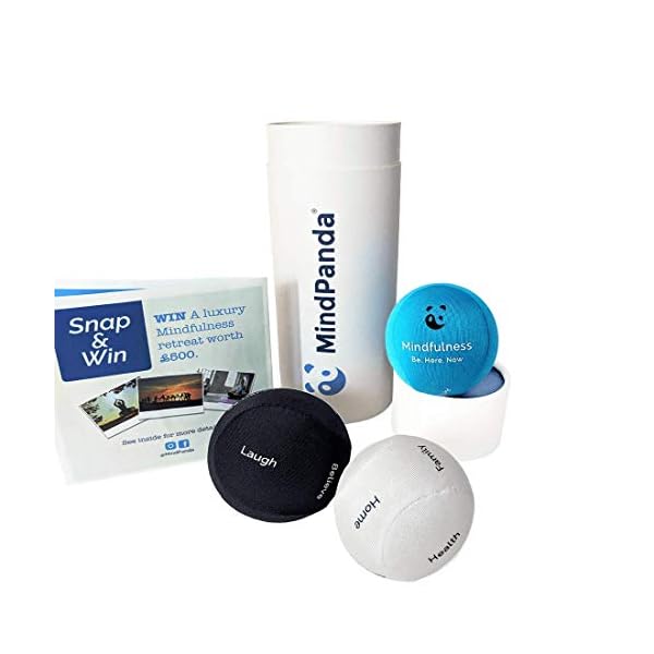 MASTER Spinner Fidget Giocattolo Antistress Ruota Fino A 2 Minuti - Foto 3