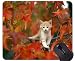 Produktbild Spiel-Mausunterlage Gewohnheit, Baby-Tierkätzchen verlässt Katzenherbst rutschfeste Gummibasis Mousepad