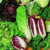 Tradico Super Agri Green Selection Combo-Lettuce Iceberg, Romaine, Chicory Red, Pak Choy, Brussels Sprouts 5 Seeds Pack Combo Omaxe Brand(Avg 50+ Seeds Each)