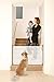 Dream Baby Retractable Gate, Standard