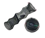 Generic dyhp-a10-code-4634-class-1 – Crevette Garnelen...