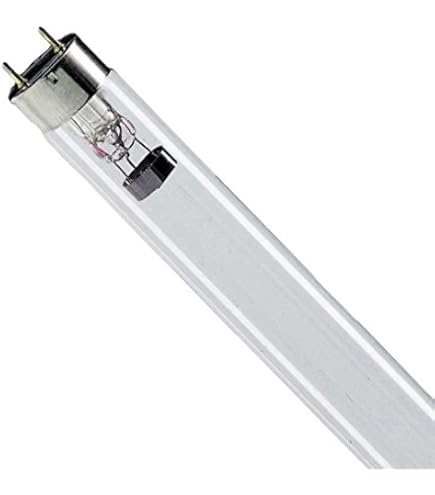 Baufolie T100 Transparent 200 cm breit - Günstig bei