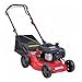 Produktbild Morrison Tondeuse thermique Autotractée 42 cm - 250 ST SP - Moteur Briggs & Stratton 300 Series - 125 cm³