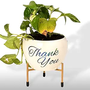HINS White Thank You Metal Round Shape Flower Plant Pot For Indoor Plants Metal Pots For Indoor Plants I Elevated Garden Planter I Raised Planter I Desk Plant I Raised Planter Box I Ascent Homes Metal Planter I Raised Planter Box With Legs I Brass Pots For Indoor Plants I Golden Planter I Mid Century Plant Stand I Brass Planters For Indoor Plants I Indoor Plant Stand For Living Room I Metal Planters Pot For Indoor Plants designer pots for indoor plants