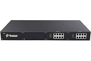 TIPTEL Yeastar S100 100 utilisateurs (expandable)