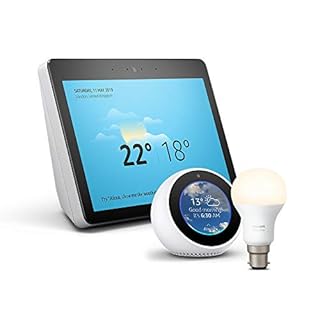 echo spot philips hue