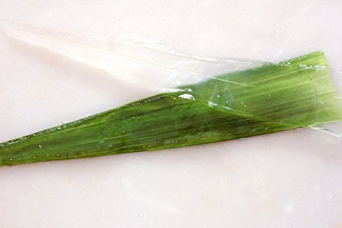 Aloe Vera - 2