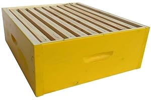 Mondo Ape Melario per Arnia da 10 Favi – con 9 Telaini Infilati – Apicoltura