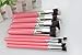 Annengjin®8PCS Makeup Brushes Professional Cosmetics Make up Brush Set Eyeshadow Eyebrow Cosmetics Tools Kit (Pink handle+ Silver tube)