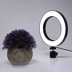 Fill Light, Dimmable USB Interface Design Portable Plug and Play Camera Light, Self-Portrait Shooting for Makeup Photography Live Stream