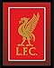 GB eye 8 x 6-inch Liverpool Crest Framed Photograph, Assorted
