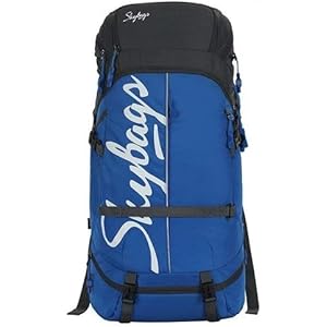 skybags cavalier 45