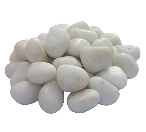 Frabjous Pebbles Glossy Home Decorative Vase Fillers Stone White, 1 Kg RS.291 (80.00% Off) - Amazon