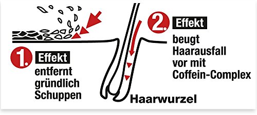Alpecin 21051 DoppelEffekt Shampoo gegen Schuppen & Harausfall, 200ml - 3