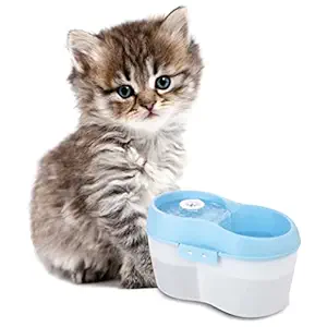 Goofy Tails 2 Litre Cat H2O Water Fountain for Cats | Automatic Cat Water Dispenser with Dental Care Tablet and Carbon Filter Pad Blue & White