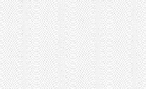 Pigment ECO jumbo roll - material: structure profile with granulate - colour: white, paintable - article no. 1507-5029