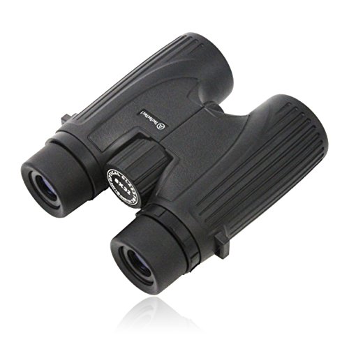 Preisvergleich Produktbild tectectec Kinderwagen bpro12