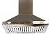Bright Flame BFKCSS1000Lotus-C2B 60 cm Full Stainless Steel Kitchen Chimney (Silver) RS.6599.00