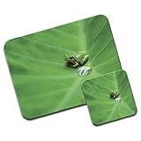 Rana verde hoja itcentre Mousematt y posavasos