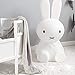 Produktbild C-TK Silikon-Pat Licht-Karikatur Miffy Kaninchen lädt dekorative Lichter Spielzeug at Licht EIN Leuchtenkind begleitet schlafende LED-Licht,50CM