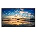 Produktbild TaoTronics Beamer Leinwand 200 x 150cm 16:9 Ratio Premium PVC-Stoff Zusammenfaltbare Knitterfreie Tragbare Projektionsleinwand für Innen & Außen 1.1 Gain 160° Tragetasche