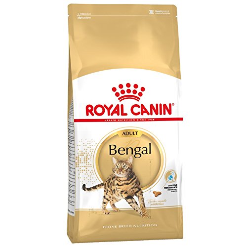 royal canin bengal adult