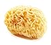 Large Mediterranean Honeycomb Sea Sponge