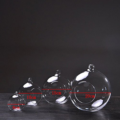 Hängende Glas Blumenvase Vase für Hängedeko Pflanzen Dekoration – 12cm Durchmesser - 7