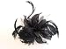 Feather and Flower Hair comb slide Fascinator with Glittery Spotty net Bridal Wedding Races Prom (Black)