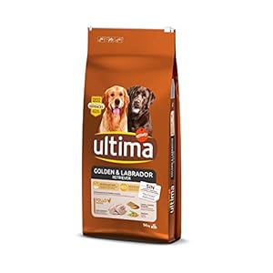 Ultima Pienso para Perros Golden y Labrador Retriever con Pollo – 14 kg