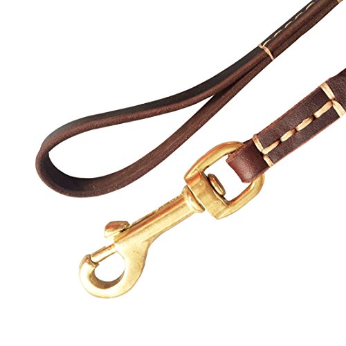 Fairwin-Leather-Dog-Lead-15M2M-Best-Dog-Training-Leash-Heavy-Duty-for-Large-Medium-Small-Dogs