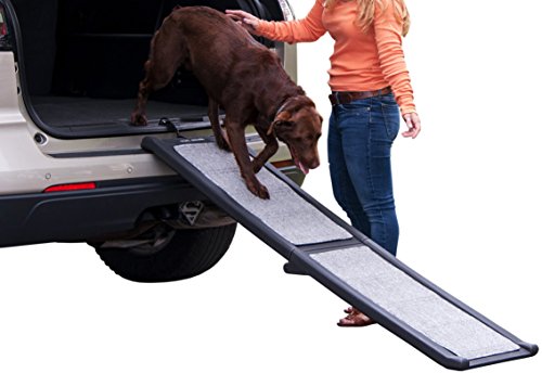 Pet-Gear-Carpeted-Ramp-Grey