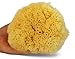 Natural Sea Sponges Multi Pack the Perfect Spa Gift Set to Pamper Moms, Brides, Girlfriends, Teens; Gentle, Hypoallergenic, Great for Bath, Shower & Facial Cleansing by Constantia Beauty TM with BONUSES!