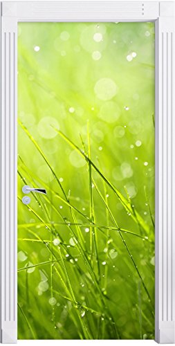 Nasses Gras als Türtapete, Format: 200x90cm, Türbild, Türaufkleber, Tür Deko, Türsticker