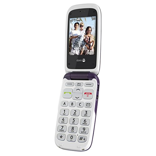 examen Doro 612 Téléphone portable débloqué 2G Simple SIM Violet