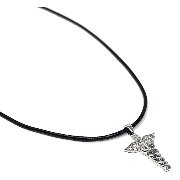 Anello con sigillo caduceo con simbolo medico personalizzato RN LPN con testo inciso, gioielli in argento sterling 925, regalo di laurea per il personale medico dell'infermiera