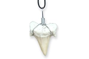 TENET CRIGEMA - FOSSILI (CIONDOLO DENTE DI SQUALO)