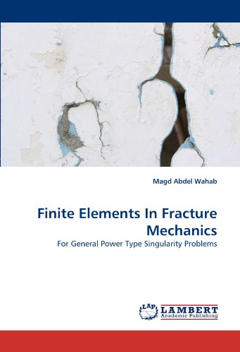 Finite Elements In Fracture Mechanics: For General Power Type Singularity Problems livre
