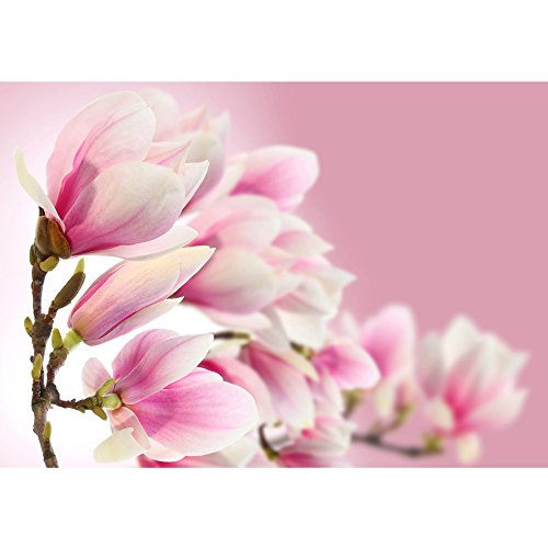 Vlies Fototapete PREMIUM PLUS Wand Foto Tapete Wand Bild Vliestapete - PINK MAGNOLIA - Magnolie Blumenranke Pflanzen Natur Orchidee Blume rosa - no. 014, Größe:300x210cm Vlies
