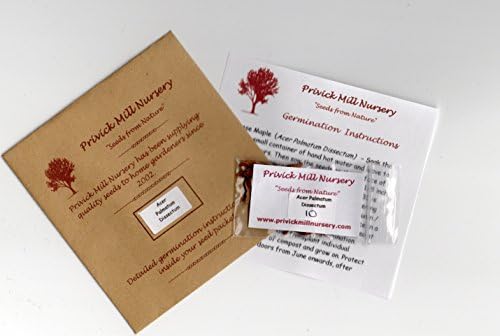 Privick Mill Nursery - Japanese Maple - Acer Palmatum Dissectum- 1 Pkt of 10 seeds - Ornamental Tree - Bonsai