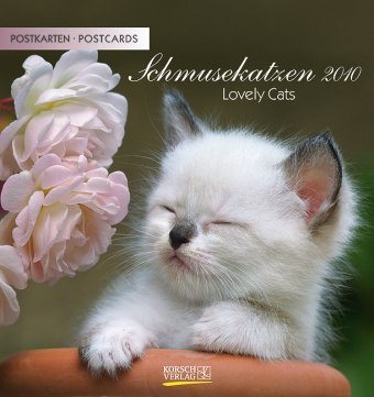 Schmusekatzen 2010: Postkartenkalender