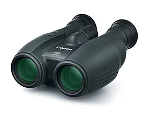 Canon Cameras US 10X32 IS Image Stabilizing Binocular, Black (1372C002)